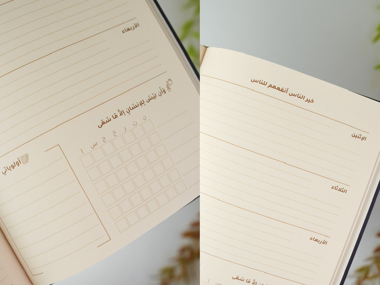 مع خطأ تصنيع بسيط - مفكرة رحلة كحلي
